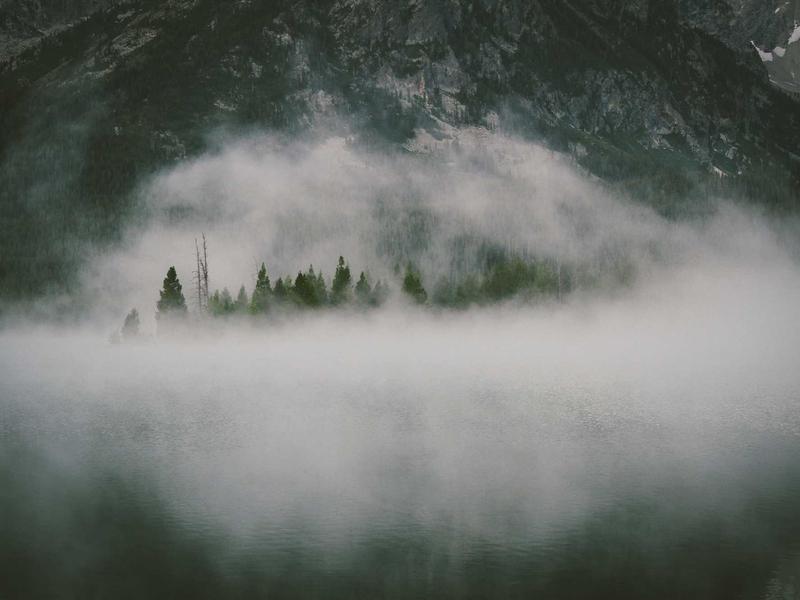 Wills & Estates Port Elizabeth